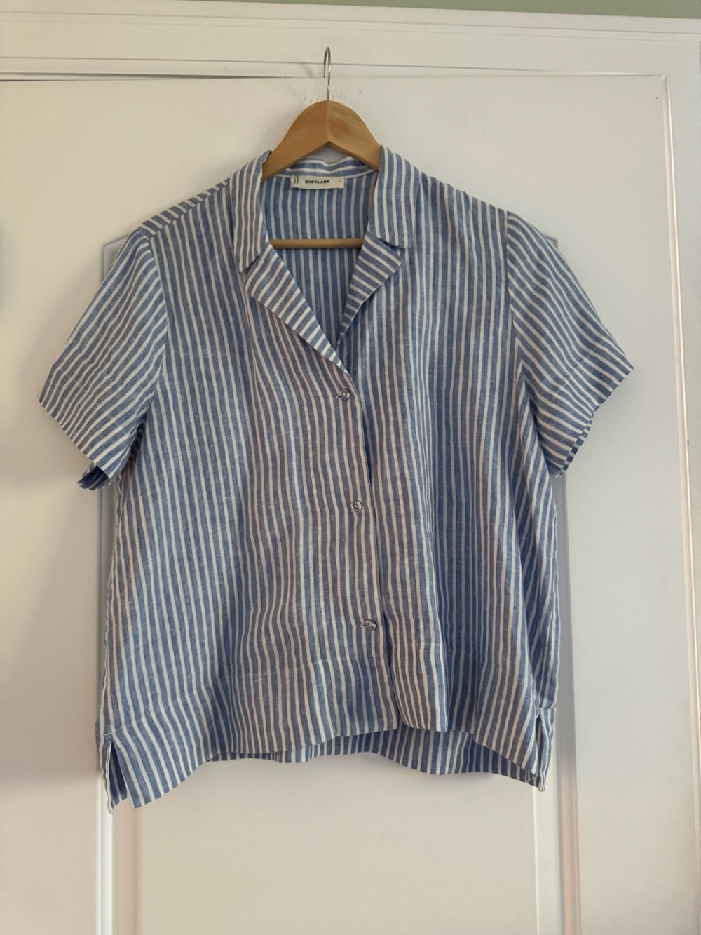 Everlane Blue and White Striped Short Sleeve Button Shirt